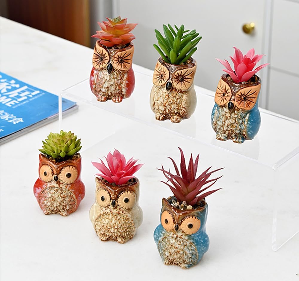 6 Pcs Mini 2.5 Inches Colorful Owl Pots, Little Ceramic Succulent Owl Planters with Drainage Holes