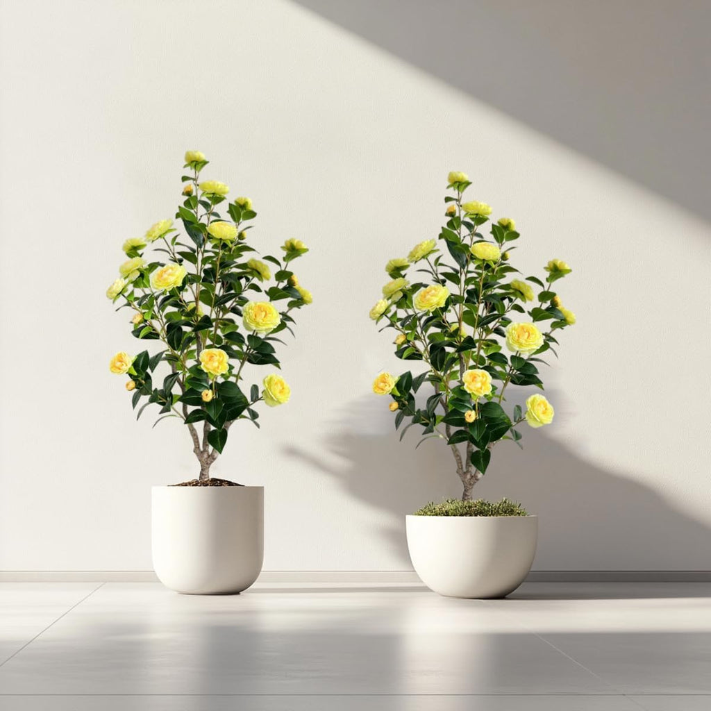Artificial Camellia Tree 3.4ft Fake Trees pseudophyte (2, Yellow)