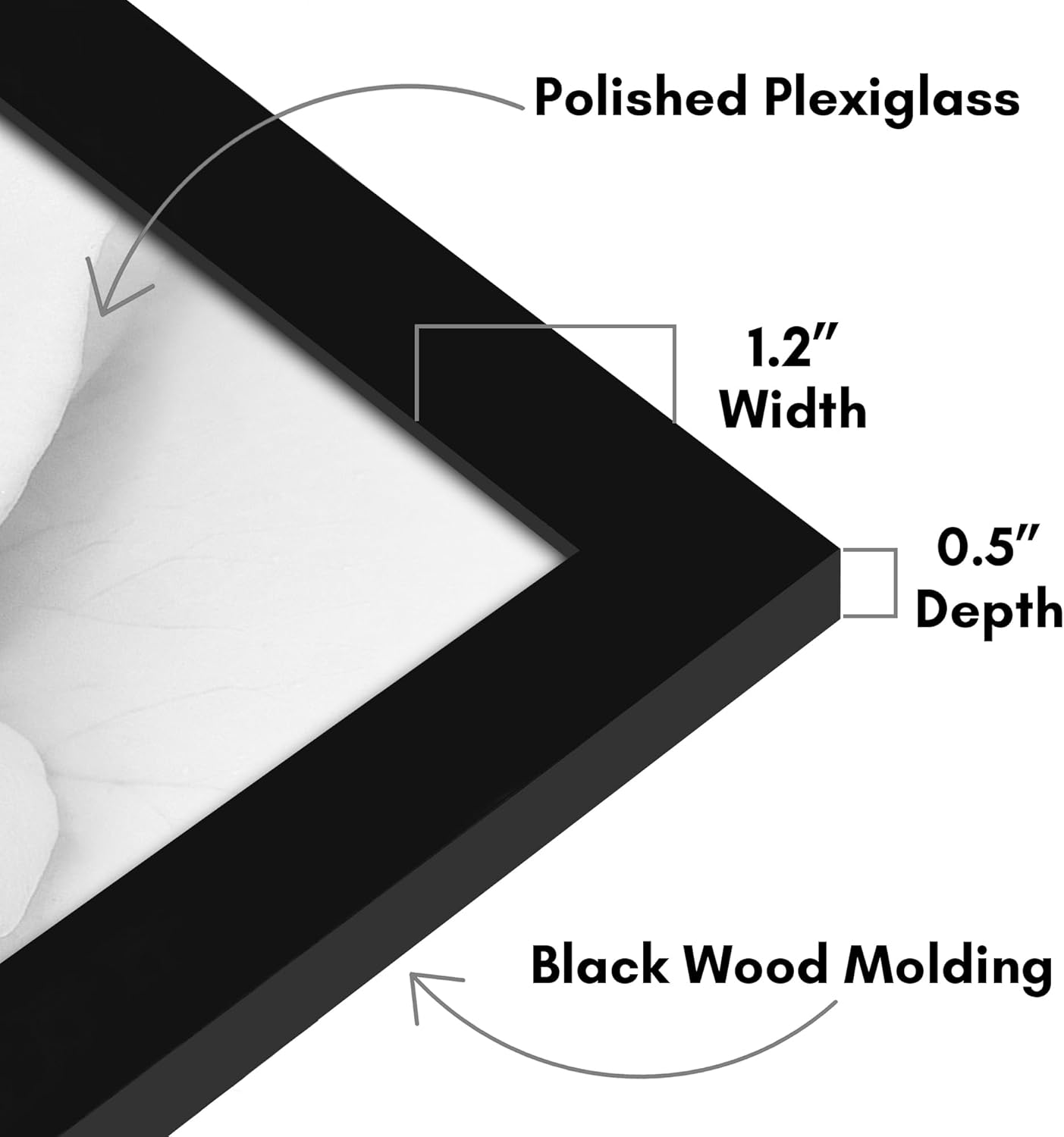 Americanflat 28x29 Poster Frame with Polished Plexiglass - Black Picture Frame - Wide Photo Frames Made of Engineered Wood for Vertical or Horizontal Wall Display - Epic Collection - Black