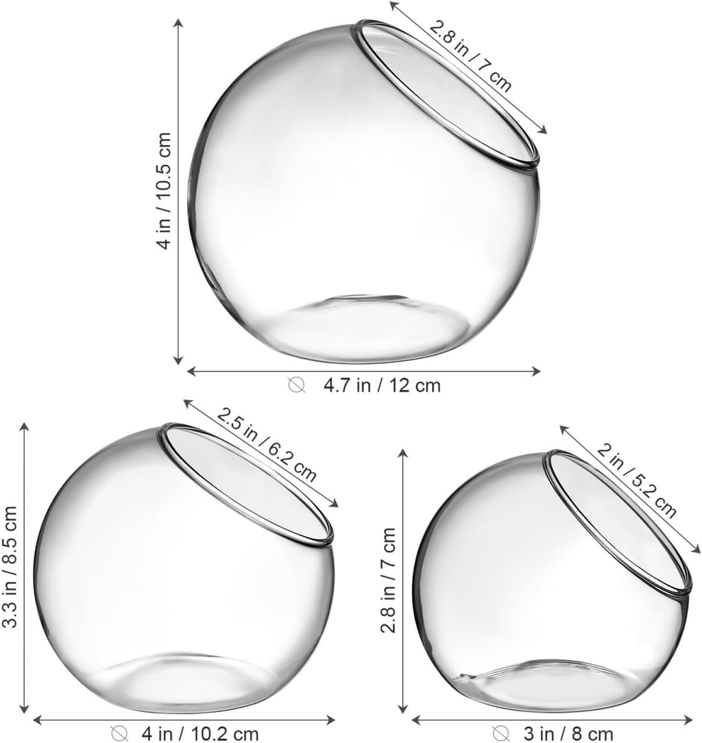 3 Pcs Glass Terrarium Bowls for Succulents and Air Plants Round Transparent Plant Containers for Home Office Desk Decoration Small Hydroponic Flower Vases