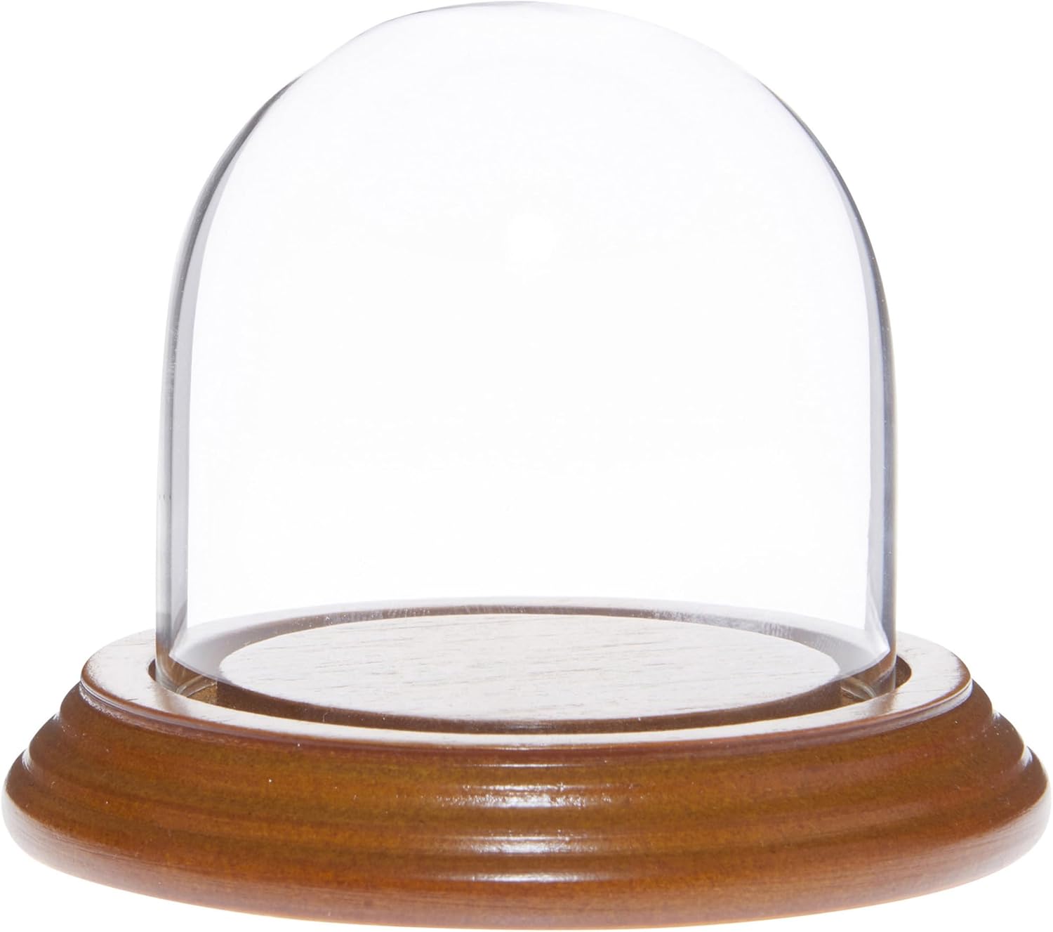 Plymor 3" x 3" Glass Display Dome Cloche (Oak Veneer Base)