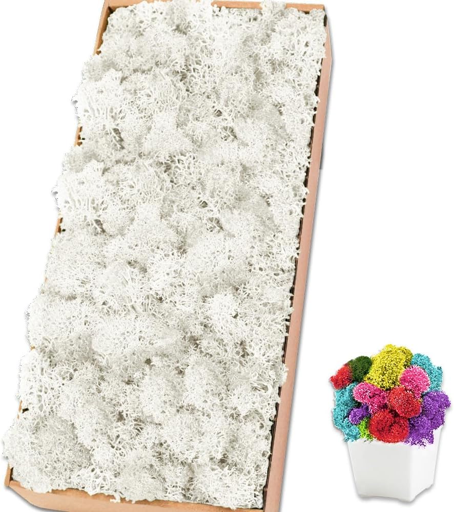 Preserved Reindeer Moss 17.6 OZ White Natural for Crafts, DIY Gift Christmas Decor, Wall Art, Potted Plants, Floral Fake Moss for Easter Table Decor Wedding Decorative(1.1 LB, White)