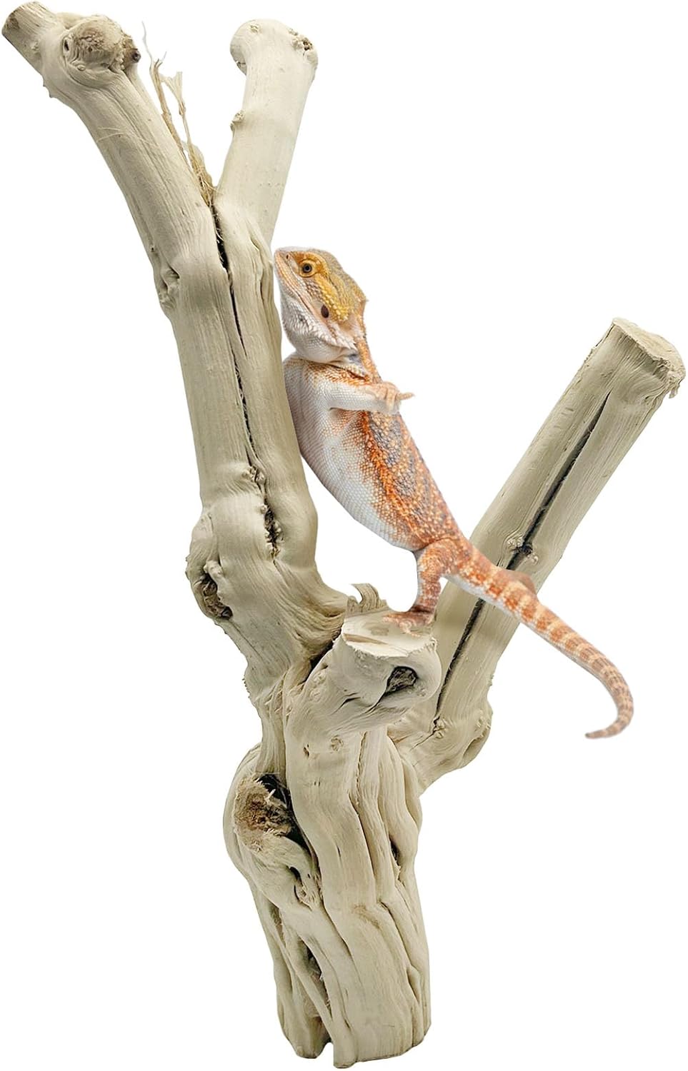 Reptile Branches for Climbing Natural Snake Climb Branch Extra Large Wood Forest Tree Trunk Decor Lizard Habitat Terrarium Decorations for Bearded Dragon Geckos Chameleon Frog