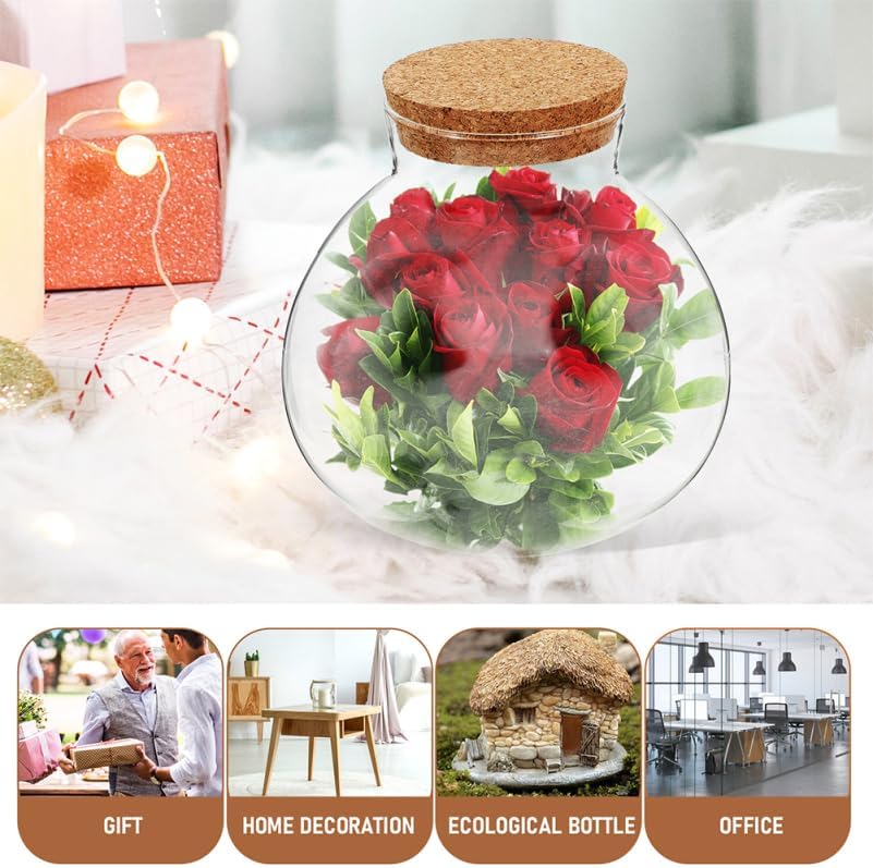 2pcs Round Glass Jar Terrarium Container Ball Succulent Plant Terrarium Buds Vases Easter Candy Jar Message Wishes Bottle with Cork Lid for Plant 15cmx16