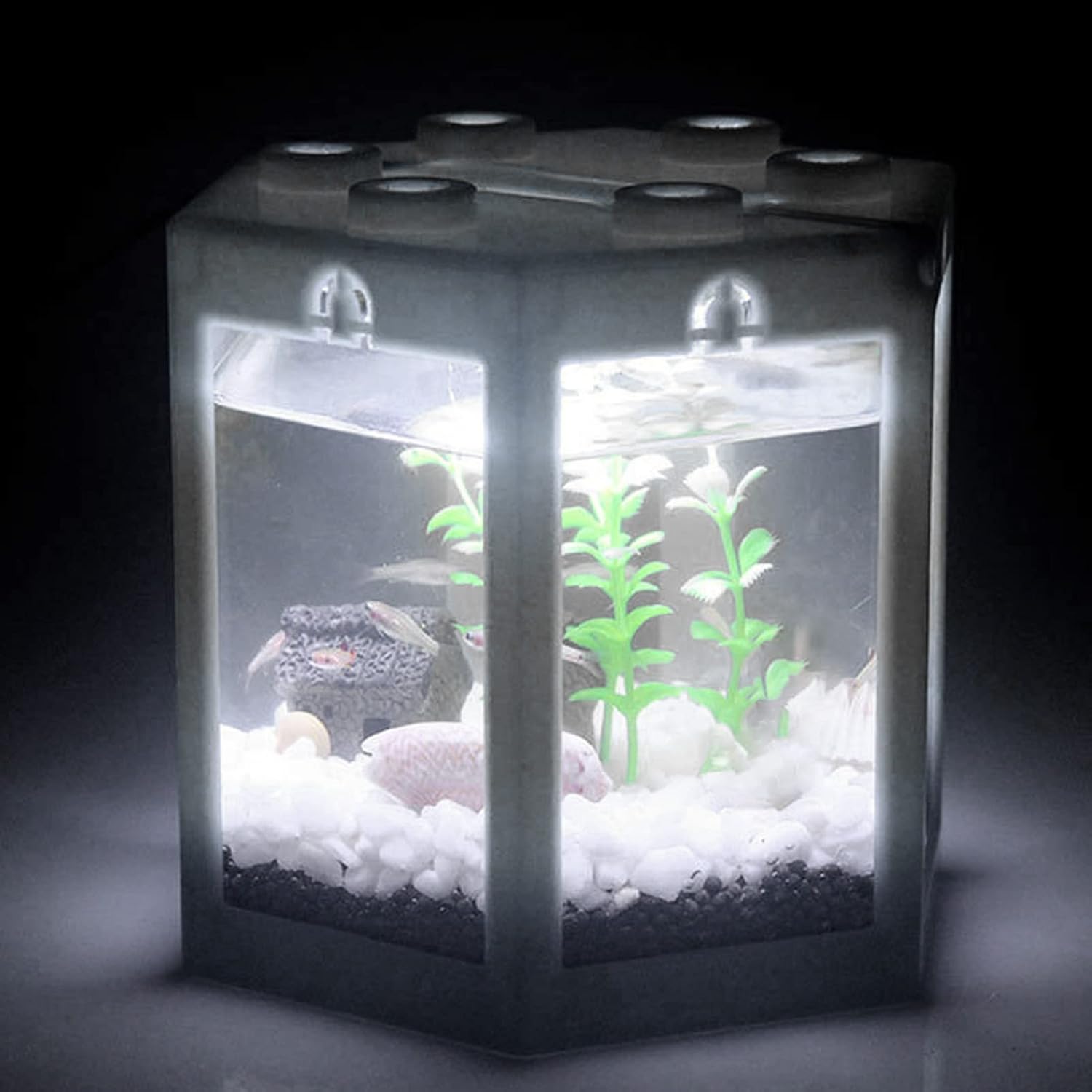 Small Betta Fish Tank, Hex Shape Portable Mini Aquarium Tank, Fish Tank Starter Kits Fish Bowl Aquarium Starter Kits for Turtle Reptile Shrimp Moss Crab Insects Habitat as Decoration(Black)