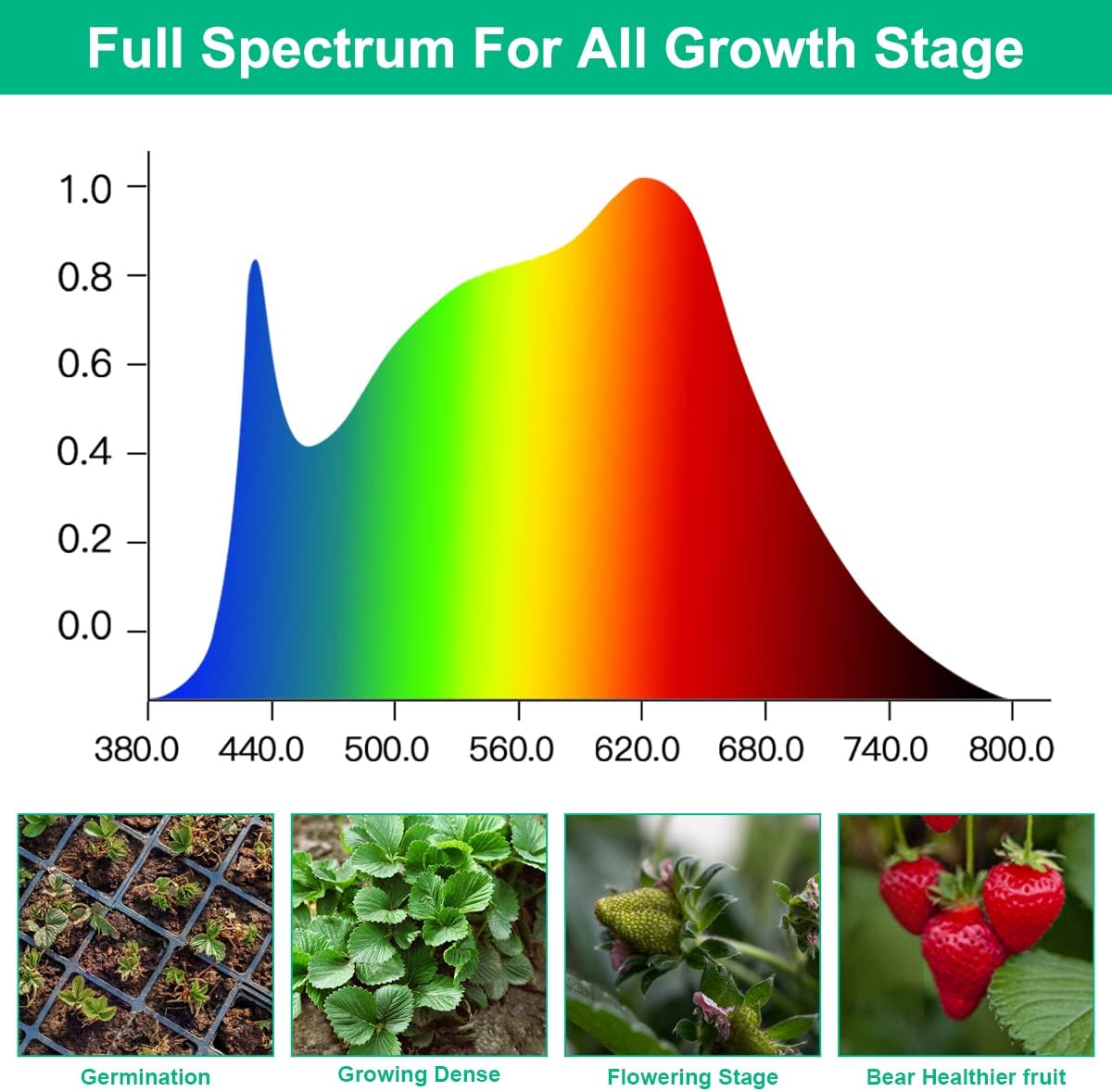 T5 Grow Lights 5000K Full Spectrum,1.4FT (2pcs x 10 Watts) Plant Growing Lamp,End-to-End Connectable Led Light Strips for Indoor Plants Succulents Flowers Growing