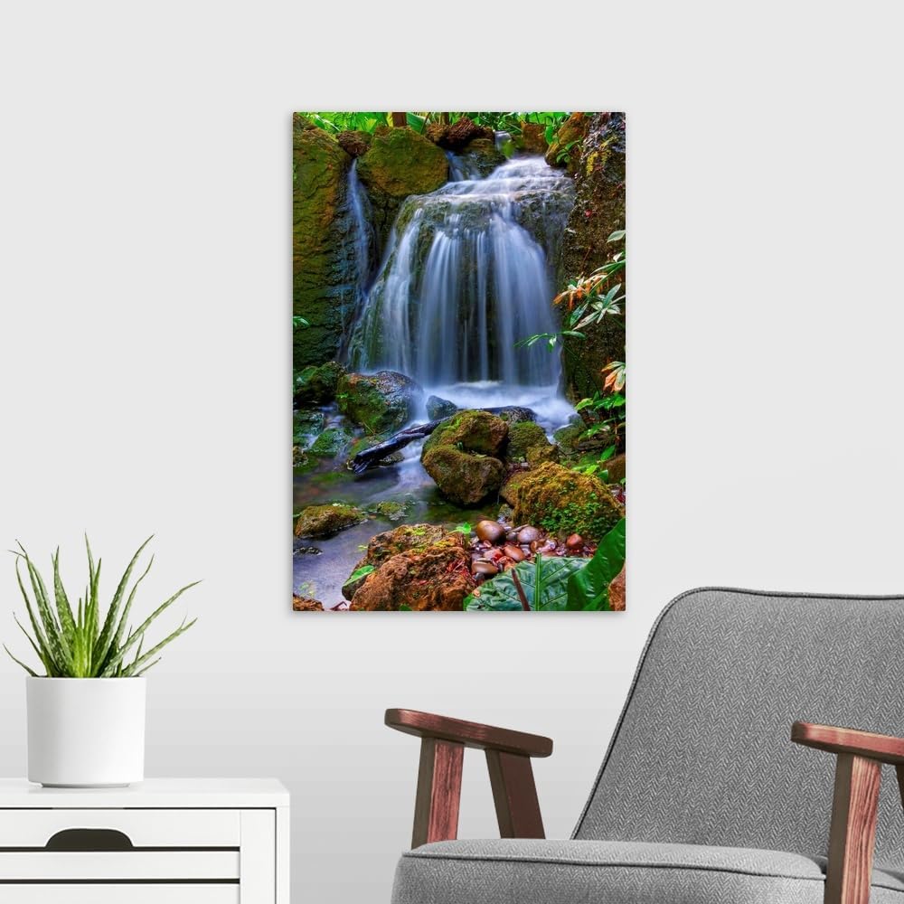 CANVAS ON DEMAND Waterfall in Tropical Rainforest of Fairchild Tropical Gardens, Canvas Wall Art Print, Home Decor, Floral, Flowers, Nature Artwork, 16" x24in