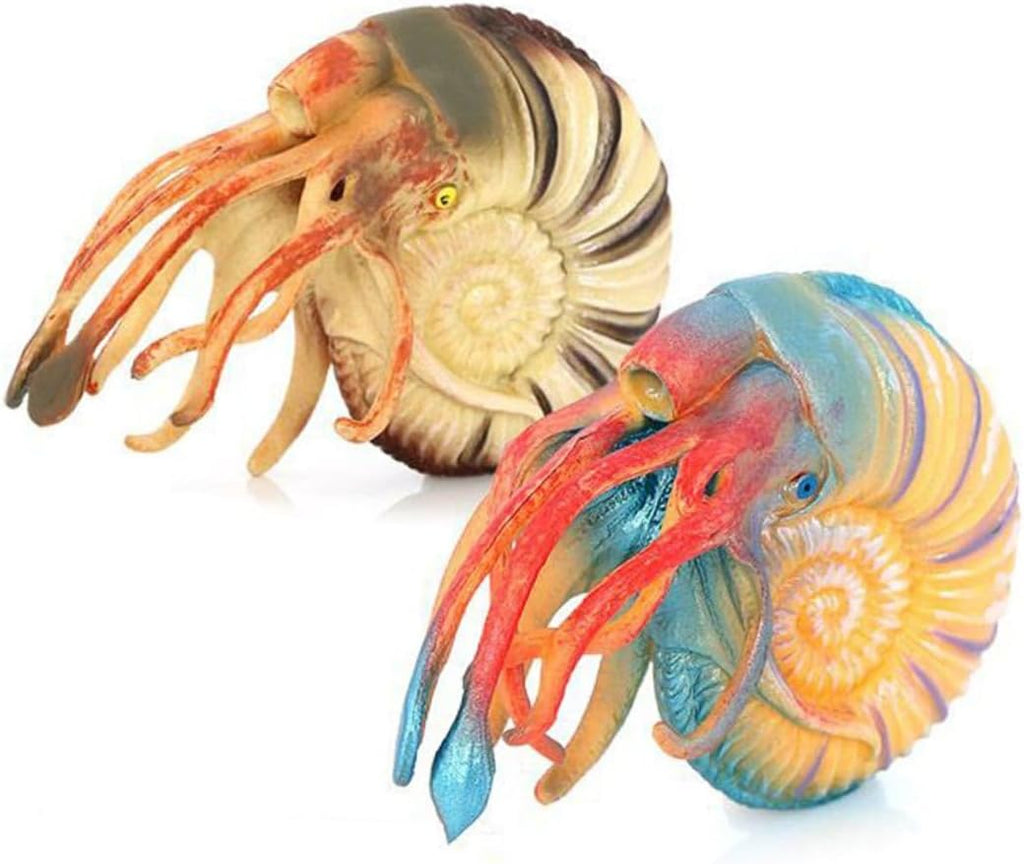 HANABASS Realistic Nautilus Model Animal Ornament Educational Sensory for Aquarium Decoration and Early Learning