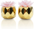 VIVERIE Mini Succulents Plants Artificial in Pots-Pink with Golden Ceramic, Christmas Small Fake Succulents Plants for Home Decor Indoor for Women, Set of 2, Gifts for Mom