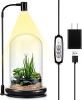 Maxdot Plant Terrarium Kit with Grow Light, 4.8'' x 7.87'' Glass Dome Terrarium with Air Hole and Base, Succulent Air Planter Fern Moss Micro Landscape Vase for Home Office Tabletop Decoration