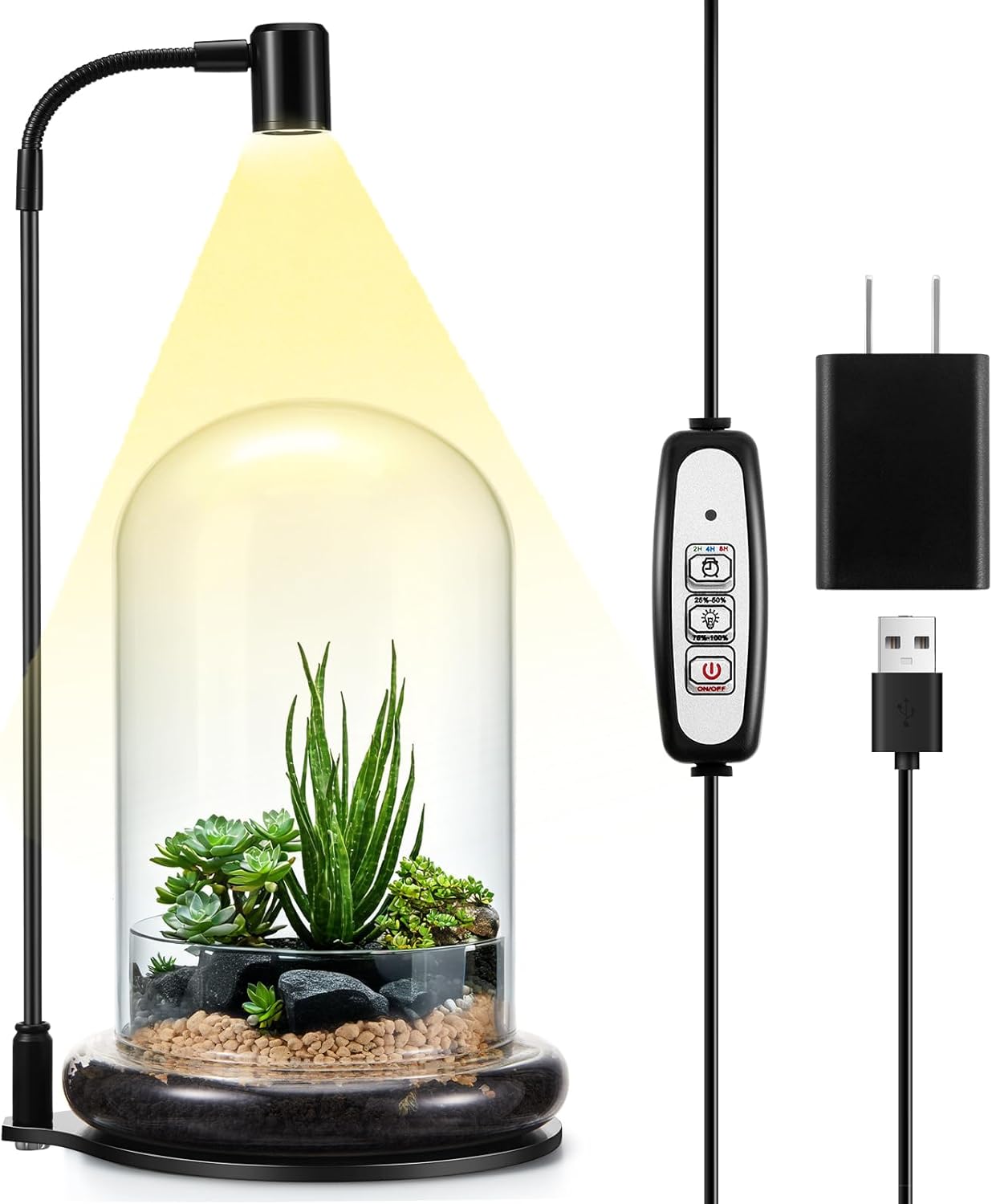 Maxdot Plant Terrarium Kit with Grow Light, 4.8'' x 7.87'' Glass Dome Terrarium with Air Hole and Base, Succulent Air Planter Fern Moss Micro Landscape Vase for Home Office Tabletop Decoration