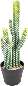 bellacat 23in UV Resistant Fake Cactus, Realistic Faux Cactus Plants Indoor with Black Pot, Artificial Cacti for Table Living Room Porch Office Indoor & Outdoor Decor