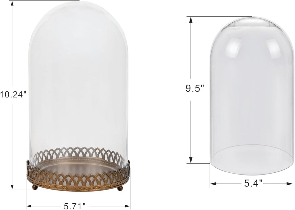 10" Tall Glass Dome with Metal Base in Antique Bronze for Terrarium, Plants, Trinkets, Cakes, Figurines, LED Light String, Candle. Cloche Glass Dome, Bell Jar Display Case, Mantle Place (1, 5.5"x10")