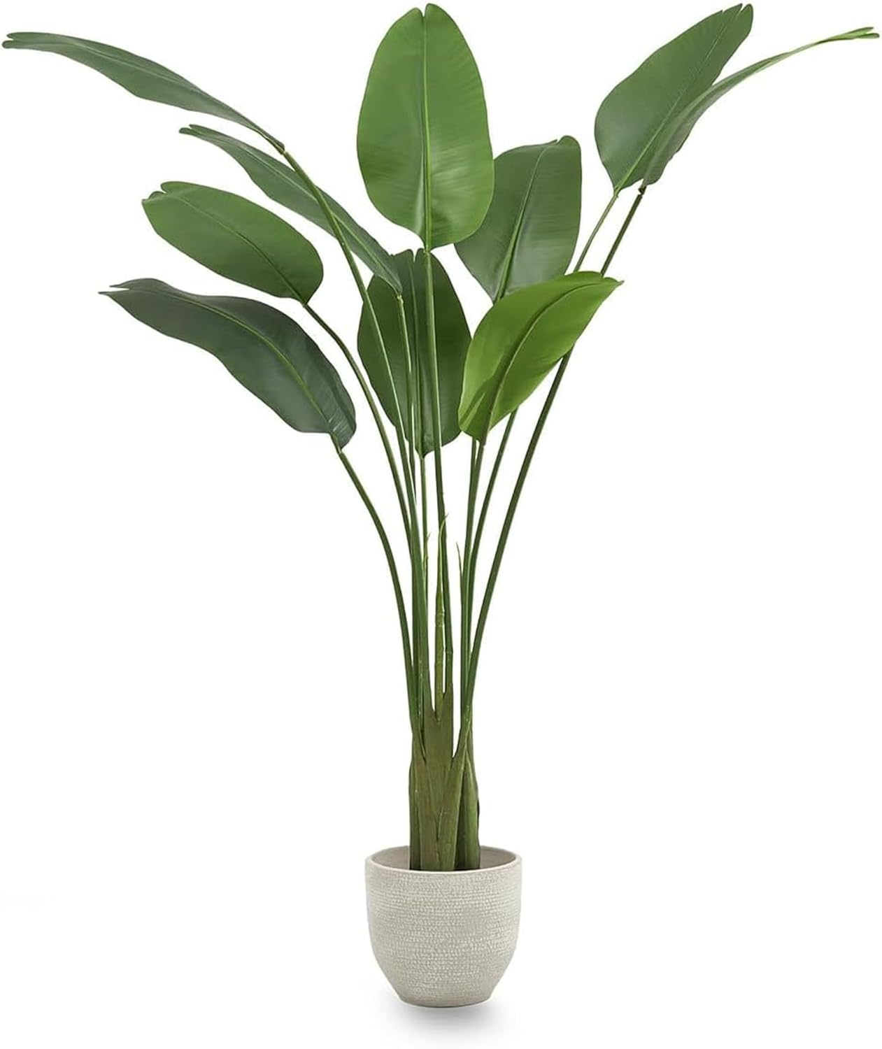 Maia Shop 6ft Artificial Bird of Paradise Plant for House, Apartment or Office – Realistic Fake Indoor Plants for Living Room, Kitchen, Bedroom, Entryway or Patio – Faux Greenery for Home Décor
