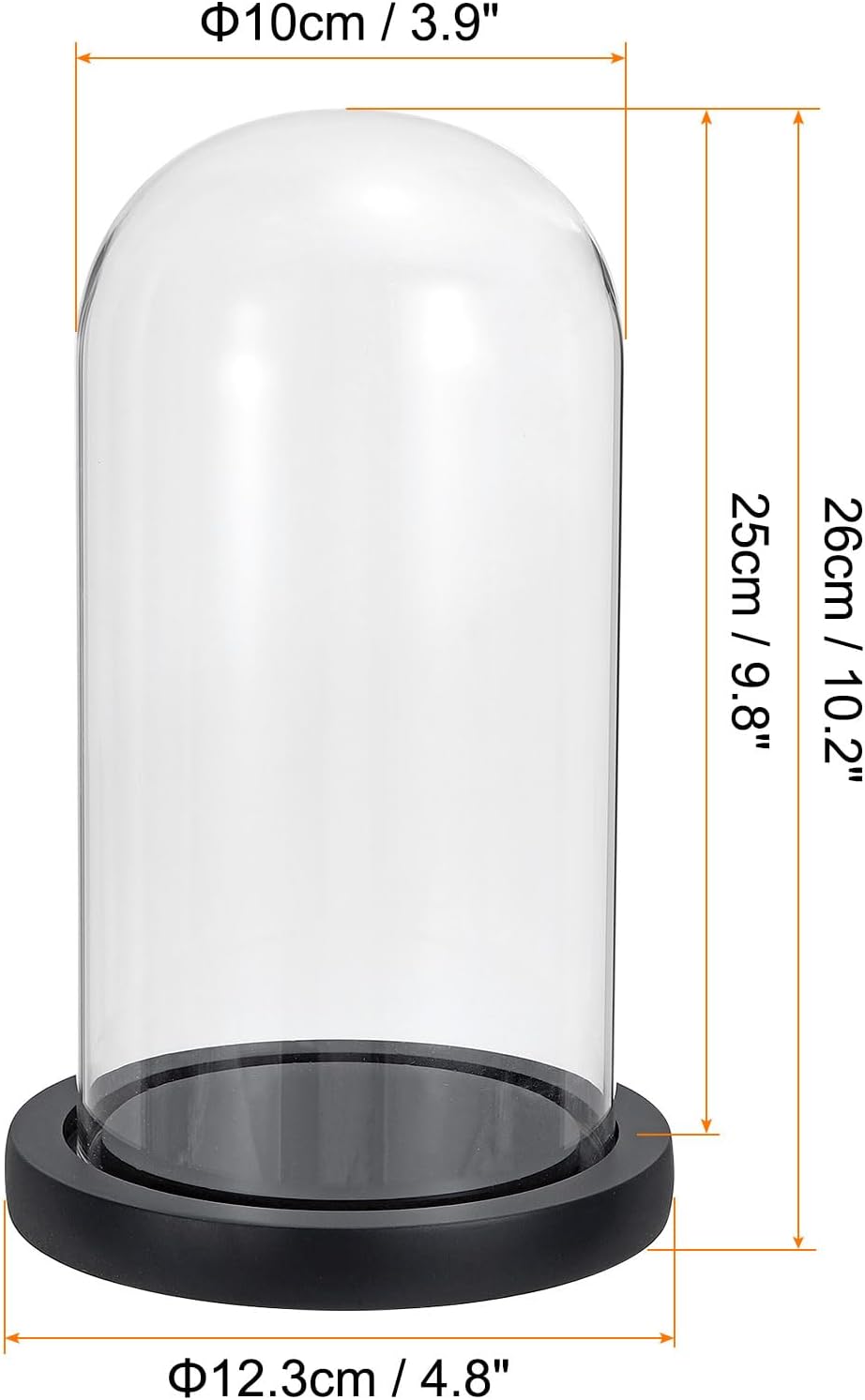 PATIKIL 9.8"x3.9" Clear Cloche Glass Dome, Glass Bell Jar Display Case Tabletop Centerpiece with Black Wooden Base for Christmas Home Decor