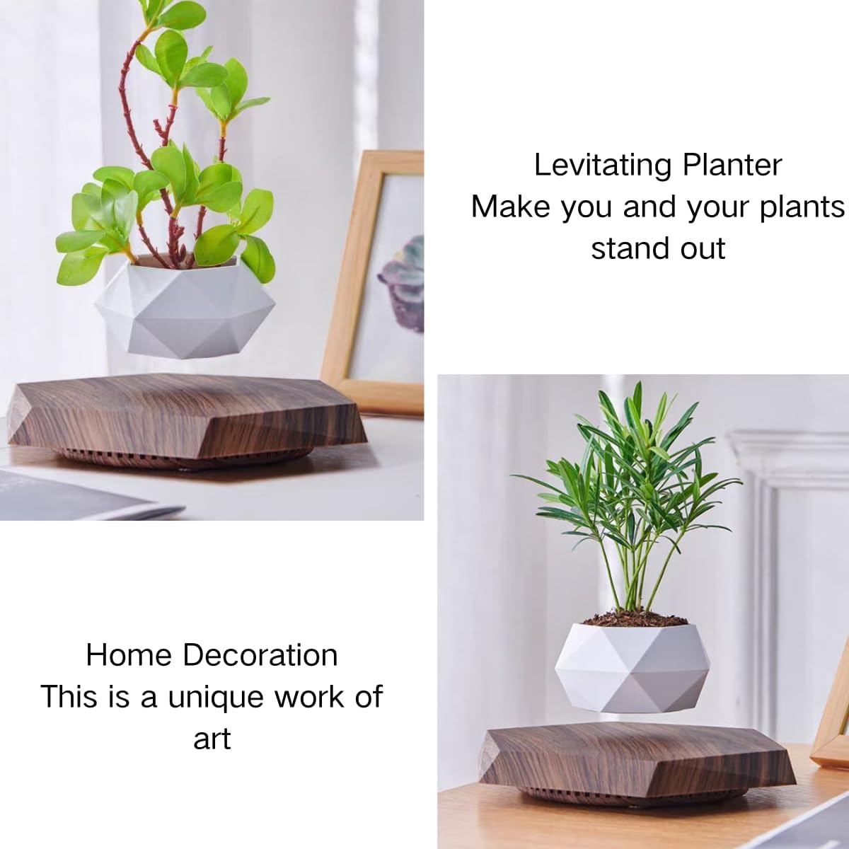 MOOCCI Floating Plant Pot Magnetic Levitating Plant Pot for Succulents, Air Bonsai and Fake Flowers and Plants, Unique Decor for Home, Office and Desk, Father's Day (Brown)