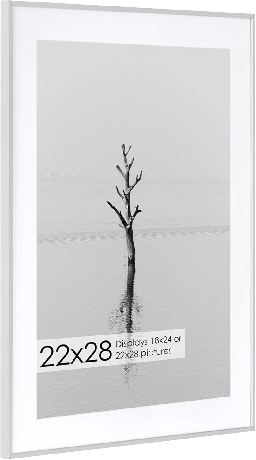 22x28 Metal Picture Frame with 18x24 Mat, Brushed Aluminum Finish, Tempered Glass Front, and Attached Hanging Hardware - Versatile Wall Display Frames for Vertical or Horizontal Orientation(Silver,