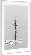 22x28 Metal Picture Frame with 18x24 Mat, Brushed Aluminum Finish, Tempered Glass Front, and Attached Hanging Hardware - Versatile Wall Display Frames for Vertical or Horizontal Orientation(Silver,
