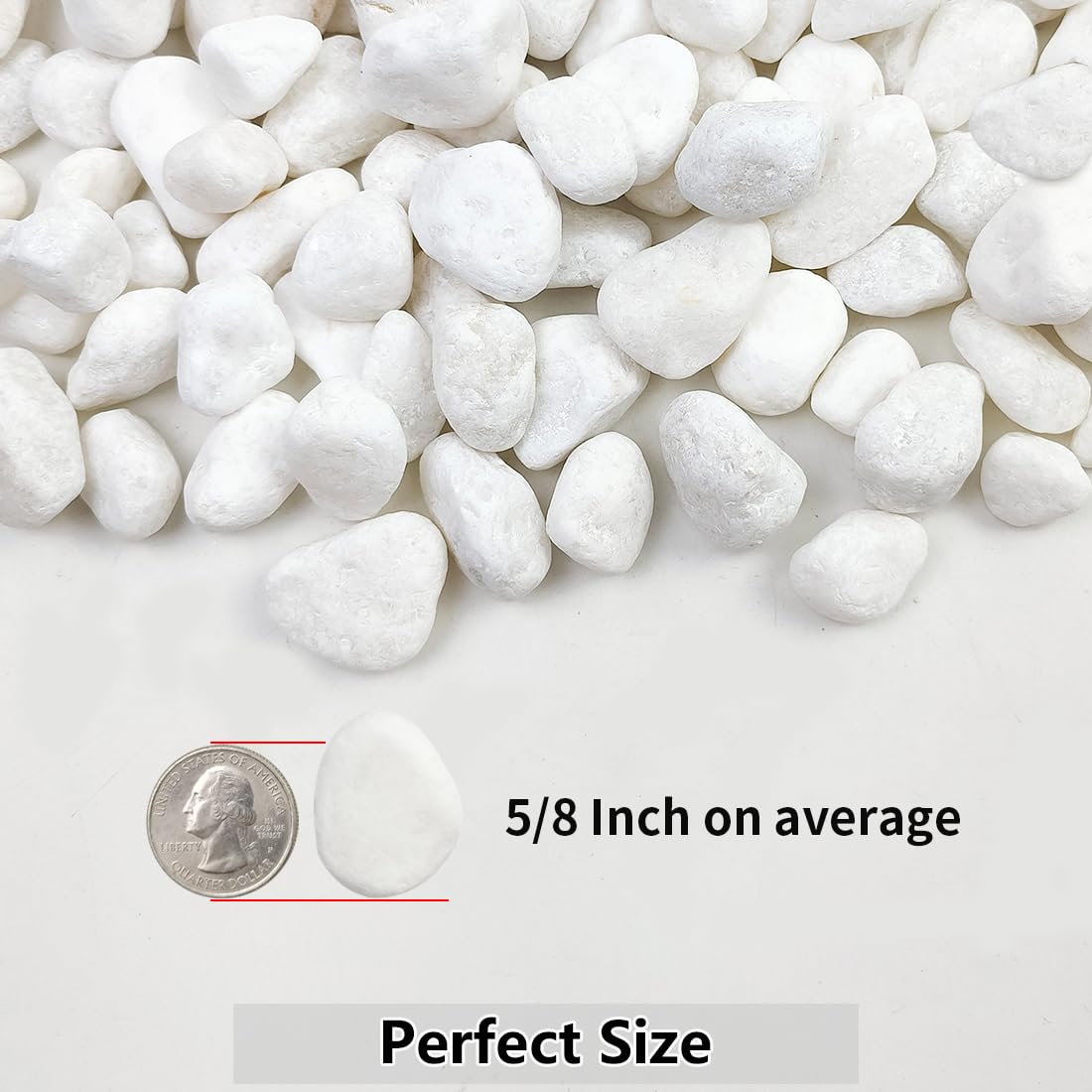 20lb White River Rocks for Landscaping, 5/8 Inch Natural Pebbles for Indoor Plants, Snow White Decorative Stones, Ideal for Fish Tank, Vases, Crafting, Home Decor and Garden Rocks