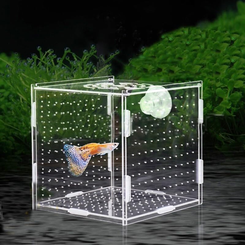 PINVNBY Acrylic Fish Breeding Box，Guppy breeding Box Acrylic Fish Isolation Box Aquarium Incubator with Suction Cups for Guppy Shrimp Small Baby Fishes（3.9 x 3.9 x 3.9 inches）