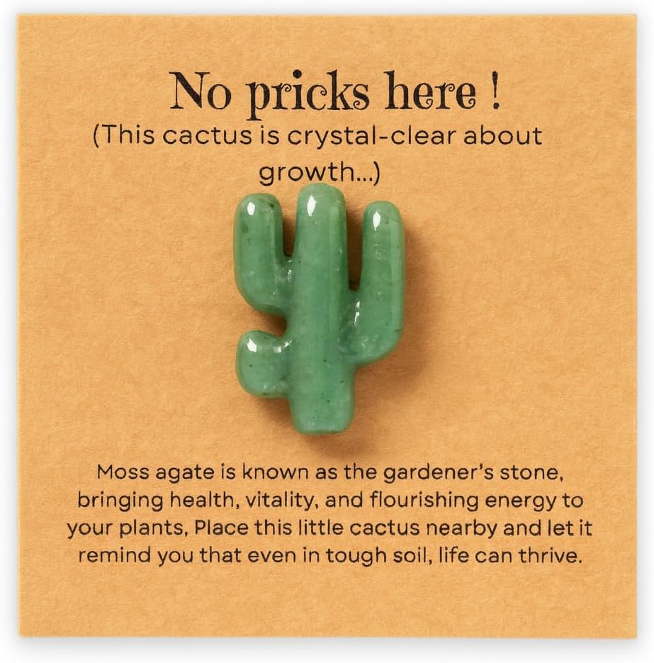 Mini Moss Agate Cactus–Unique Funny Plant Lover Birthday Gifts for Women/Sister/Mom,Gardening Gardener Succulent Lovers Crazy Plants Lady Cute Stocking Stuffers Gift Ideas