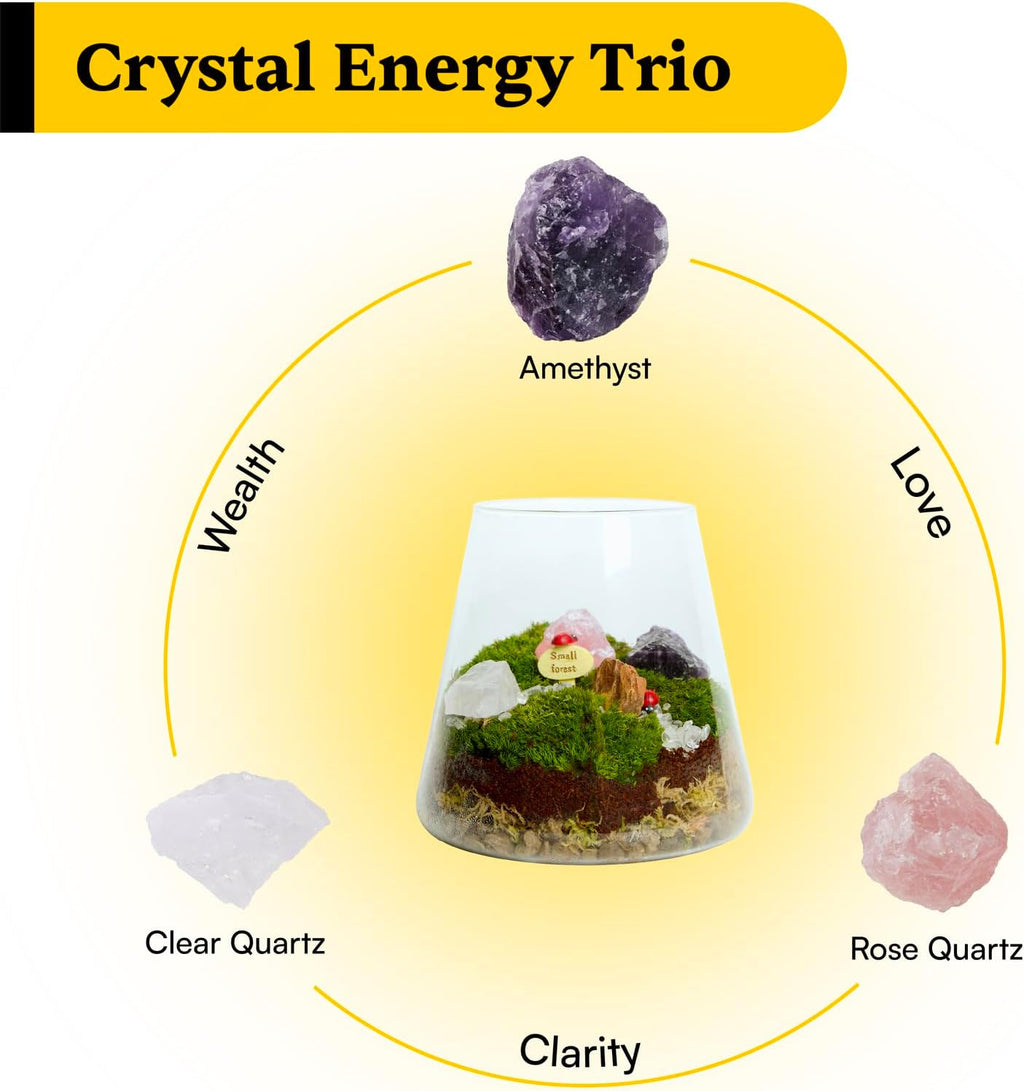 DIY Crystal Terrarium Kit– All-In-One Starter Kit with Preserved Moss, Pumice, Crystals, Coconut Coir, Gardening Tools & Decor | Healing Gift for relaxing | Plants & Crystal Lovers | Home & Desk Decor