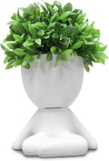 Zerzsy Mini Succulent Plant - Plants Gift - Cute Office Decor for Women - Office Decorations for Work DeskWomen - Desk Plants Decorations for Shelf- Set of 1