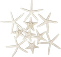 Jangostor 12 PCS Starfish 2-6 Inch Mixed Starfish Natural Seashells Starfish Star Fish Shells Decorations Perfect for Wedding Decor Beach Theme Party, Home Decorations, DIY Crafts, Fish Tank