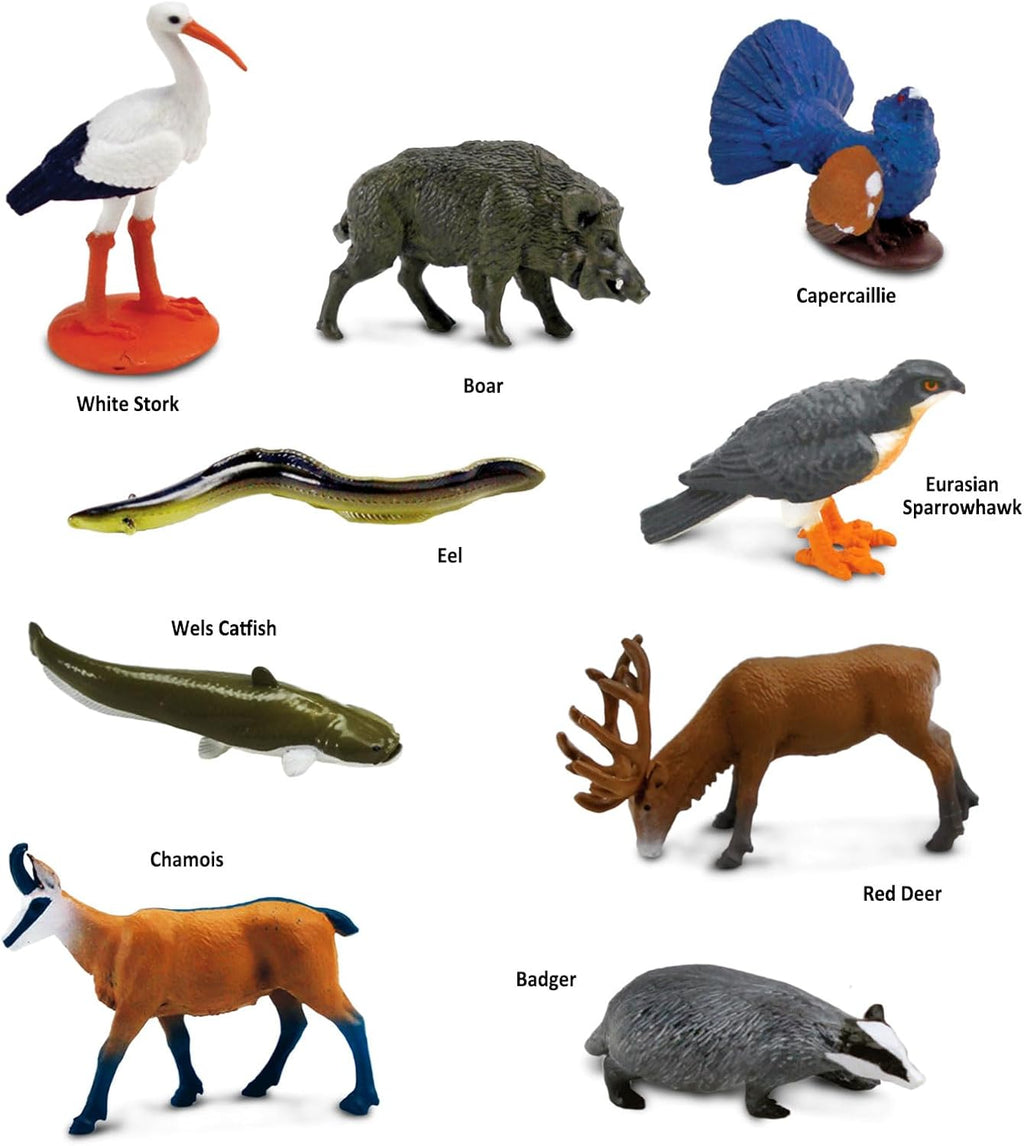 Safari Ltd. Set of 9 European Animal Toy Figures | TOOB Collection | Non-Toxic and BPA Free | Toy Animals | Suitable for Ages 3 and Up