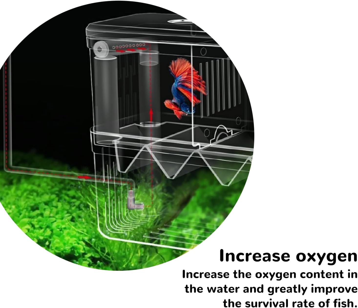 Mipukbay Medium Aquarium Isolation Breeding Box, Acrylic Transparent Aquarium Breeder Box for Fish Fry Hatching, Shrimp Breeding, Betta, Guppy, Killifish, Clownfish, Suitable for 5-40 Gallon Tanks