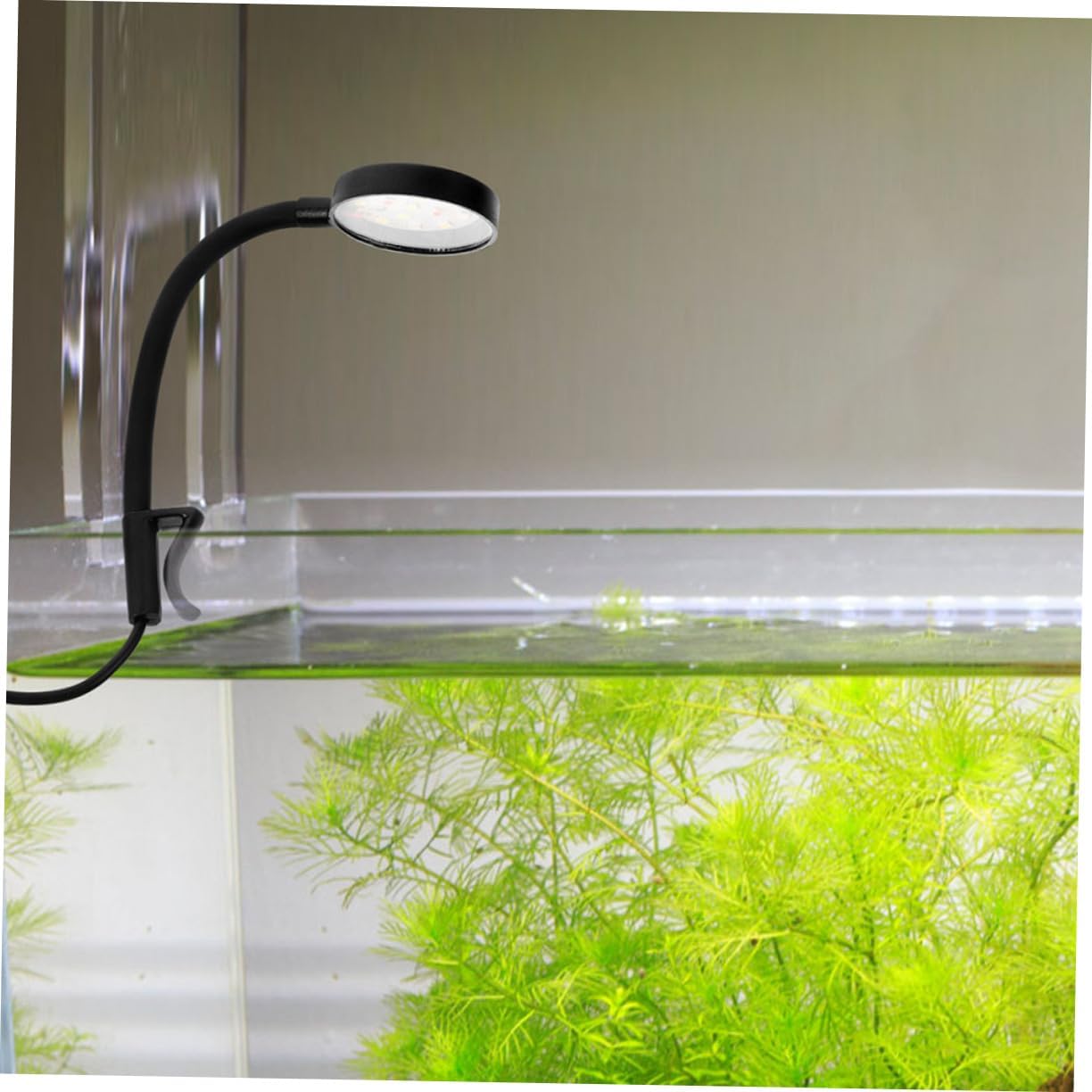 NUOBESTY 2pcs Compact Clamp Aquarium LED Light USB Type Fish Tank Lamp for Freshwater Tanks Mini LED Lamp with Easy Installation Lightweight Pink and Black