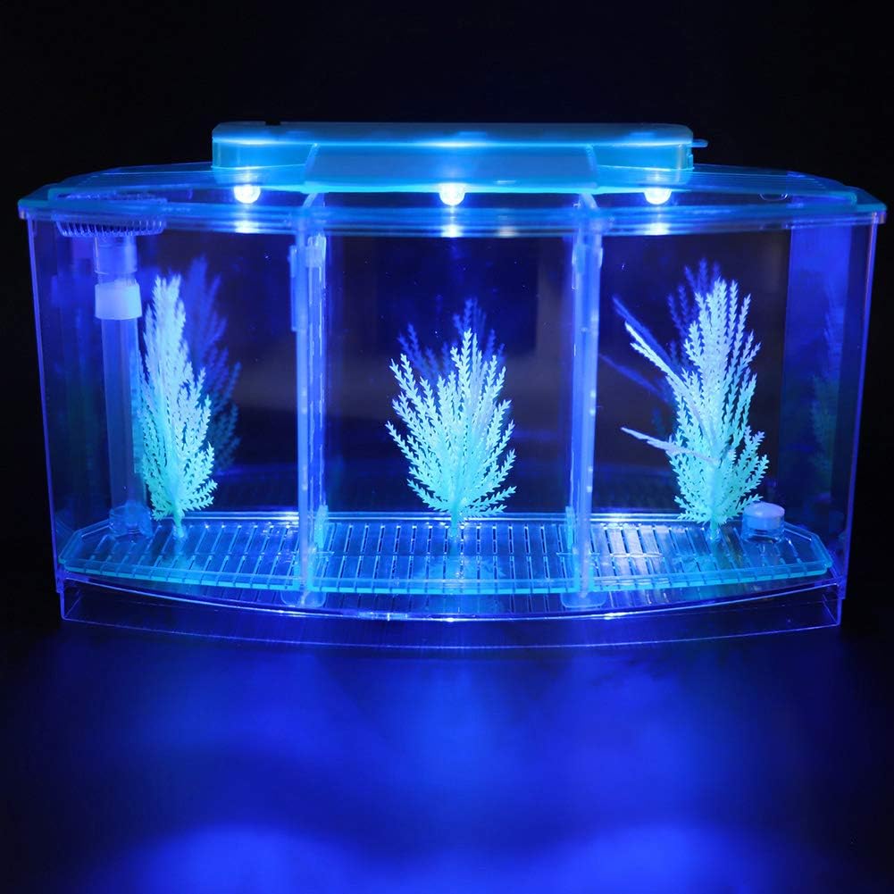 Small Fish Isolation Fish Tank, LED Acrylic Aquarium Fish Tank, Transparent Fish Isolation Box with 2 Isolation Plates for Small Fishes Betta Shrimp Guppy (Blue)