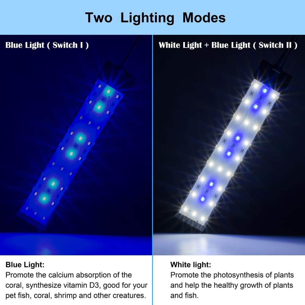 Aquarium Light Small LED Clip Light for Fish Tank 10W, 1 Yr Warranty