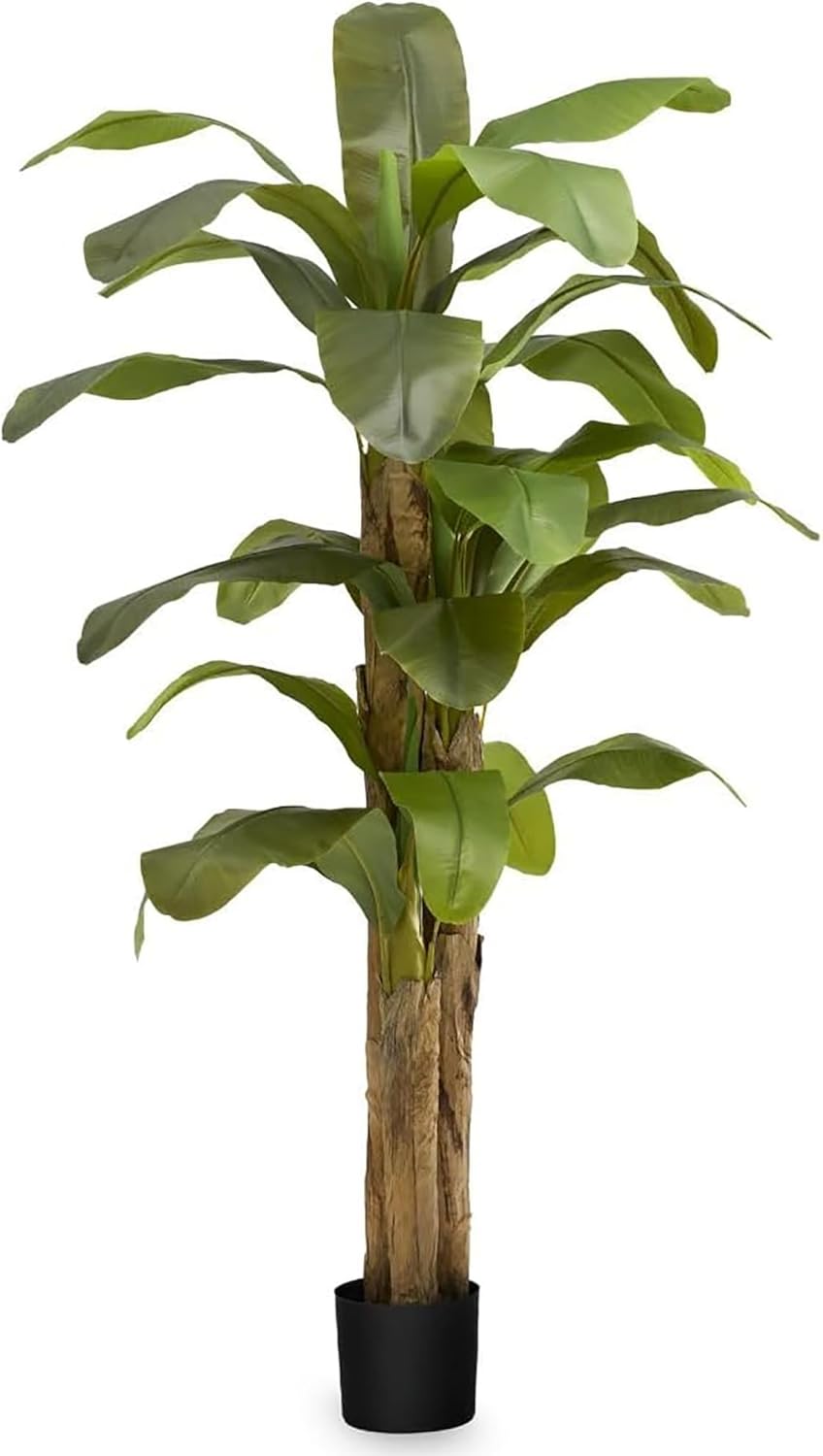 Maia Shop 7ft Artificial Banana Tree Plant for House, Apartment or Office – Realistic Fake Indoor Plants for Living Room, Kitchen, Bedroom, Entryway or Bathroom – Faux Greenery for Home Décor
