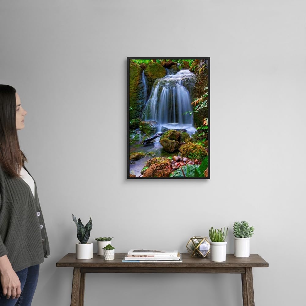 CANVAS ON DEMAND Waterfall in Tropical Rainforest of Fairchild Tropical Gardens, Black Float Framed Canvas Wall Art Print, Home Decor, Floral, Flowers, Nature Artwork, 16" x24in