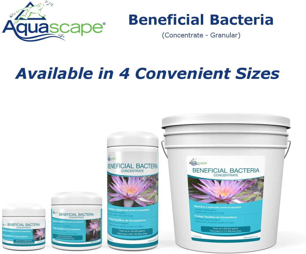 Aquascape 75000 Pond Air 2 (Double Outlet Aeration Kit) & Dry Beneficial Bacteria for Pond and Water Features, 4.4-Ounce | 98925,White