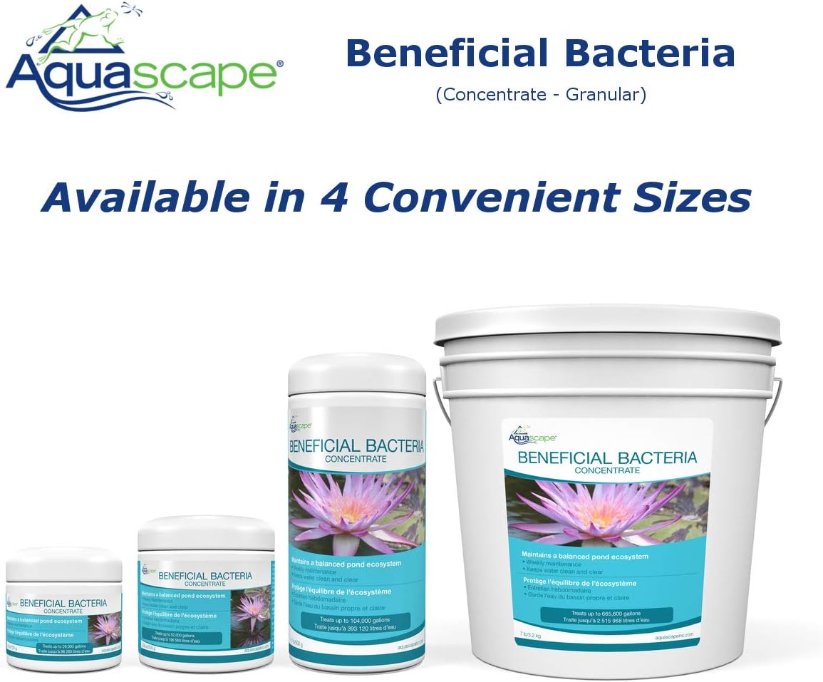 Aquascape 75000 Pond Air 2 (Double Outlet Aeration Kit) & Dry Beneficial Bacteria for Pond and Water Features, 4.4-Ounce | 98925,White