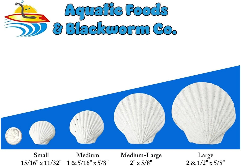 Aquatic Foods Inc. Calcium Feeder Small & Medium Shells. Extra Thick Shells for Shrimp, Snails, Crabs, Crayfish, Hermit Crabs and All Tropical Fish…125 Count Bag