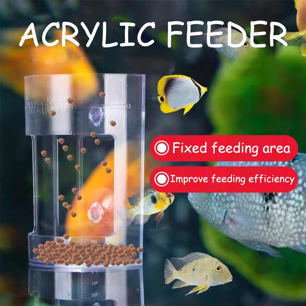 Fish Feeder Oval Back Flat Automatic Feeders Reduced Filter Clogging Tank Suitable for All Kinds of Food Tank Accessories