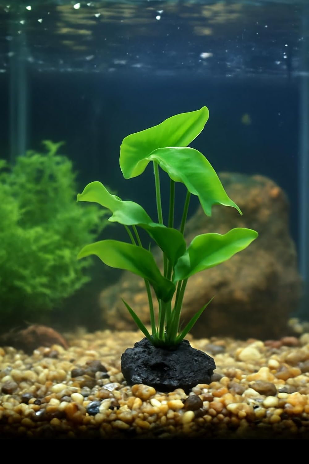 JGbaby Artificial Aquarium Plants,Fish Tank Decorations Betta Leaf Hammock 7in Realistic Silk & Plastic Plants, Hideout Decor for Betta. Goldfish,Reptiles,Small Tanks (Green Type-A)