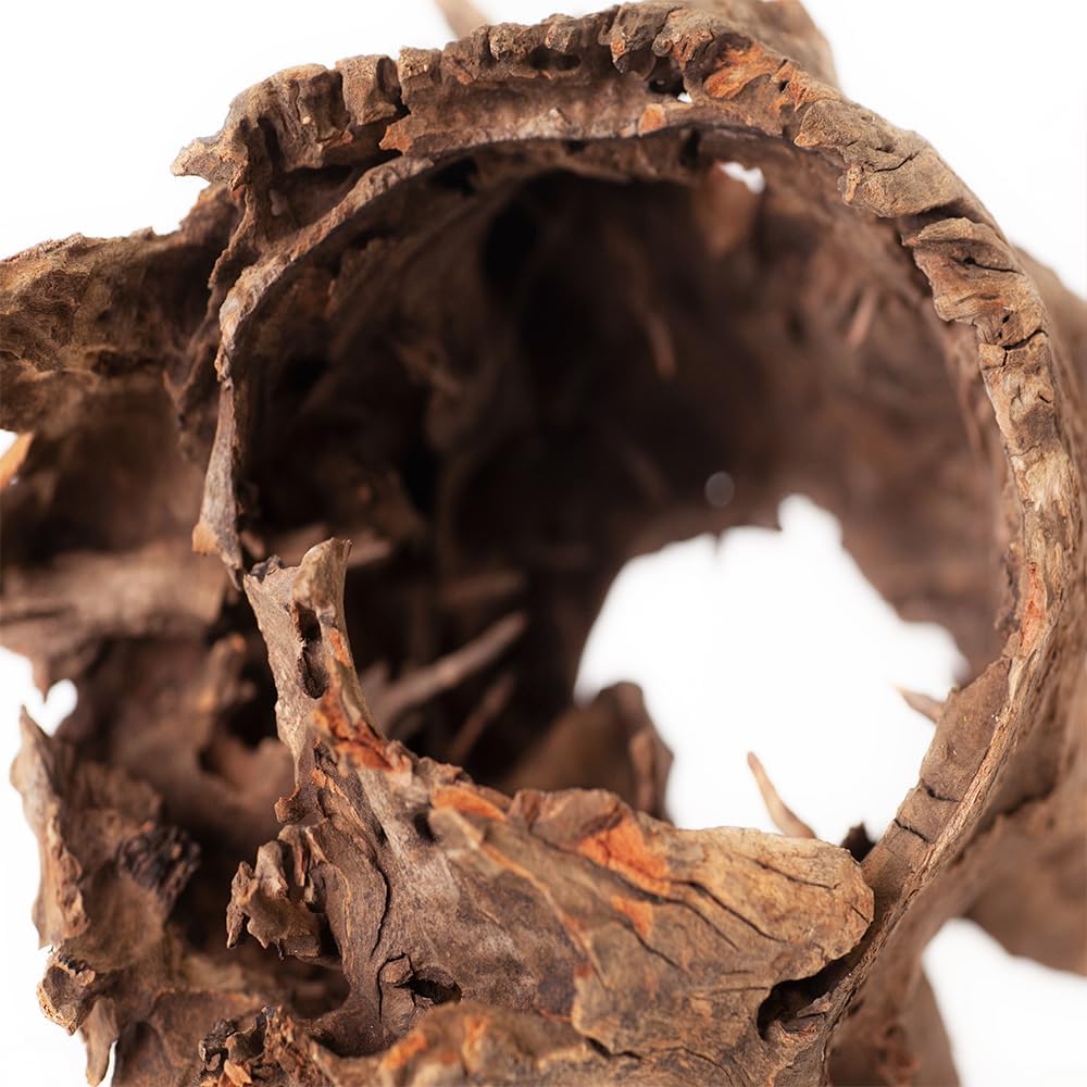 Galapagos (05550) Hollow Log Hide Terrarium & Aquarium Décor Fish Tank Hideout Eucalyptus Wood Medium 6” – 8”