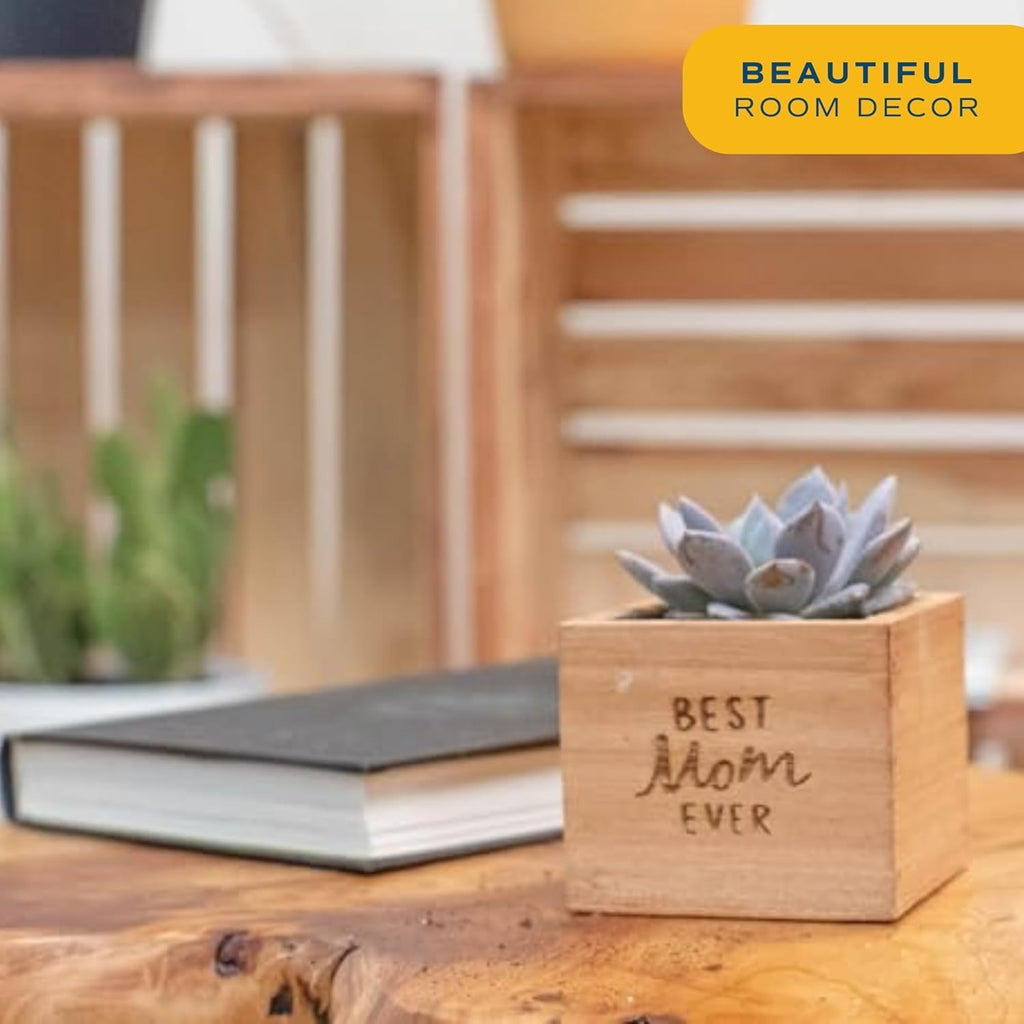 Costa Farms Echeveria, Mini Succulent Plant in Best Mom Ever Wood Decor Planter, Live Indoor Houseplant in Cute Cactus Decor, Housewarming, Birthday Gift