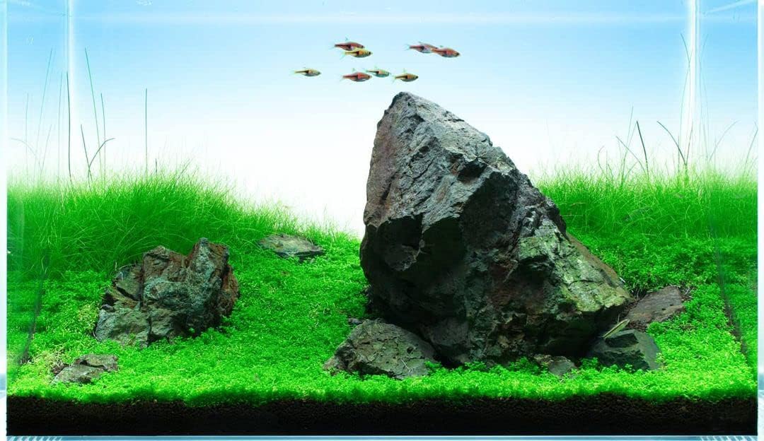 SubstrateSource Natural Stone for Aquarium, Terrarium, Paludarium, Reptile Enclosures - Set of Decorative Rocks for Landcapes, Aquascaping, Fish Tank Decor (Manten Stone, 30 Pounds, 2-8")
