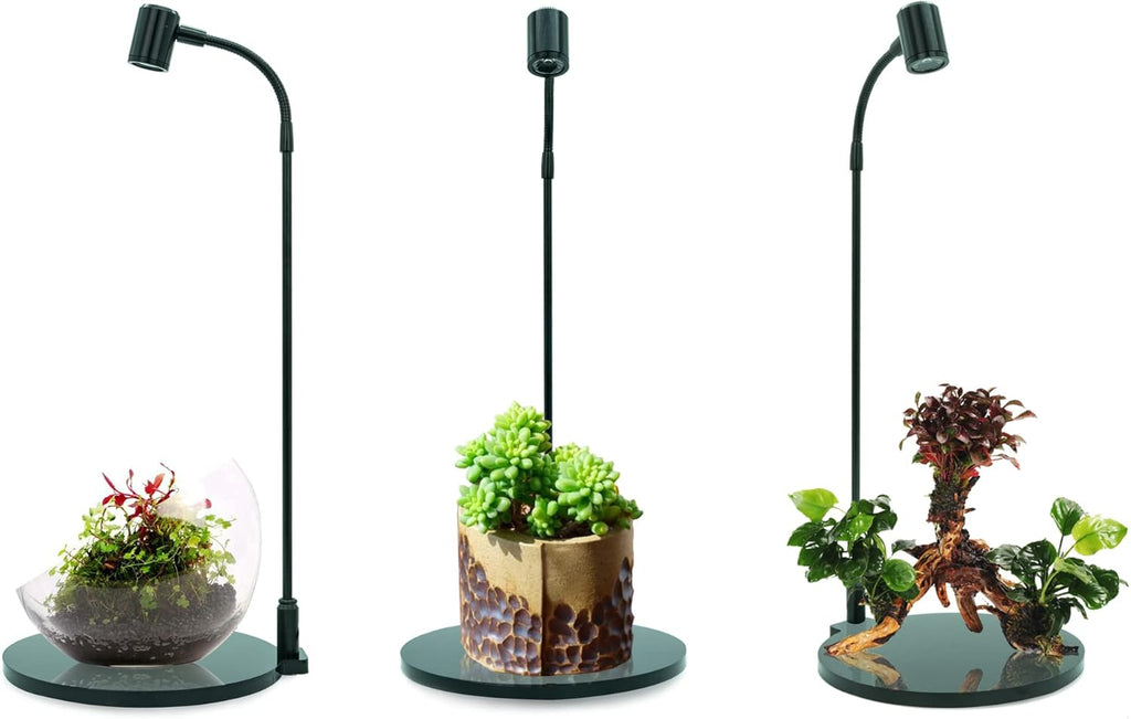 MINI Terrarium Aquarium Black Spotlight for Potted Plants, Betta Fishes, Bottle Jars, Displays, Indoor Plant, Succulents, Air Plants