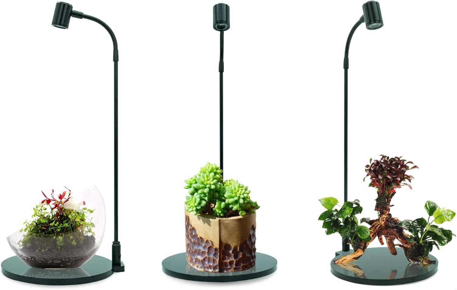 MINI Terrarium Aquarium Black Spotlight for Potted Plants, Betta Fishes, Bottle Jars, Displays, Indoor Plant, Succulents, Air Plants