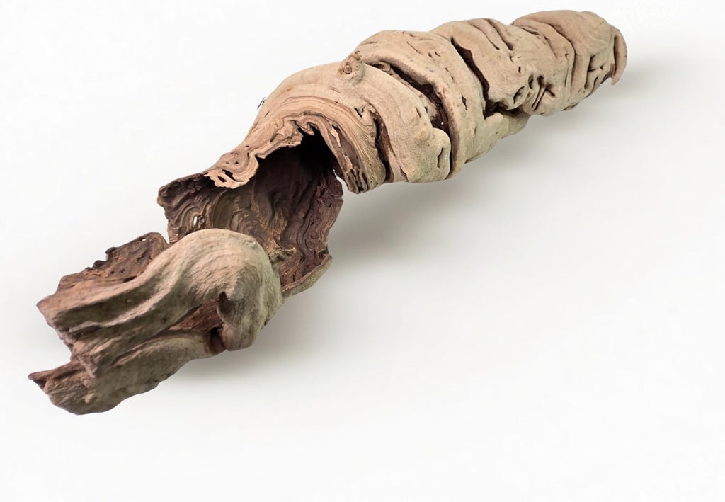 Koyal Wholesale 24" Hollow Grapewood Branch Decor 1Pcs Grapewood Centerpiece Vase Air Plants Sand Blasted Grapevine Wood Untreated Terrarium Wood Driftwood Decor