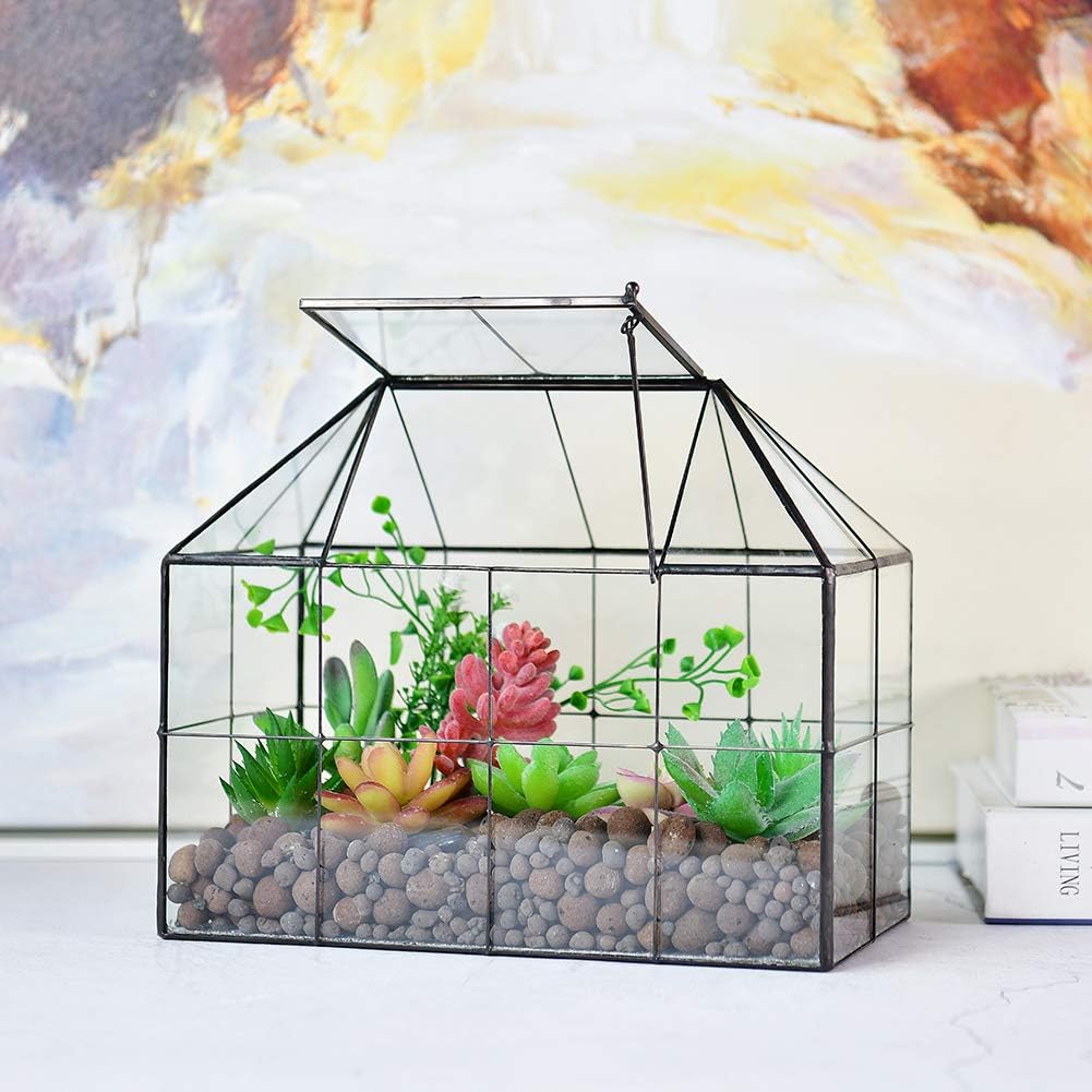 Large Glass Terrarium House Planter – Succulent Plant Glass Greenhouse with lid 9.8"X7.9"X5.9" NA
