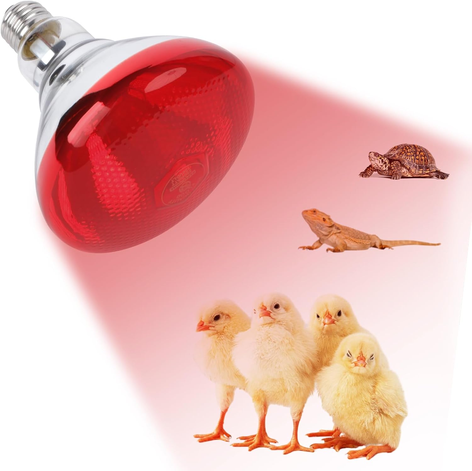 250W Red Heat Lamp Bulbs for Chicken,Infrared Flood Light Heat Lamp Bulb, Incandescent Light Heat Lamps for Chicks, Reptile, Pets, Par38 Glass E26 Base