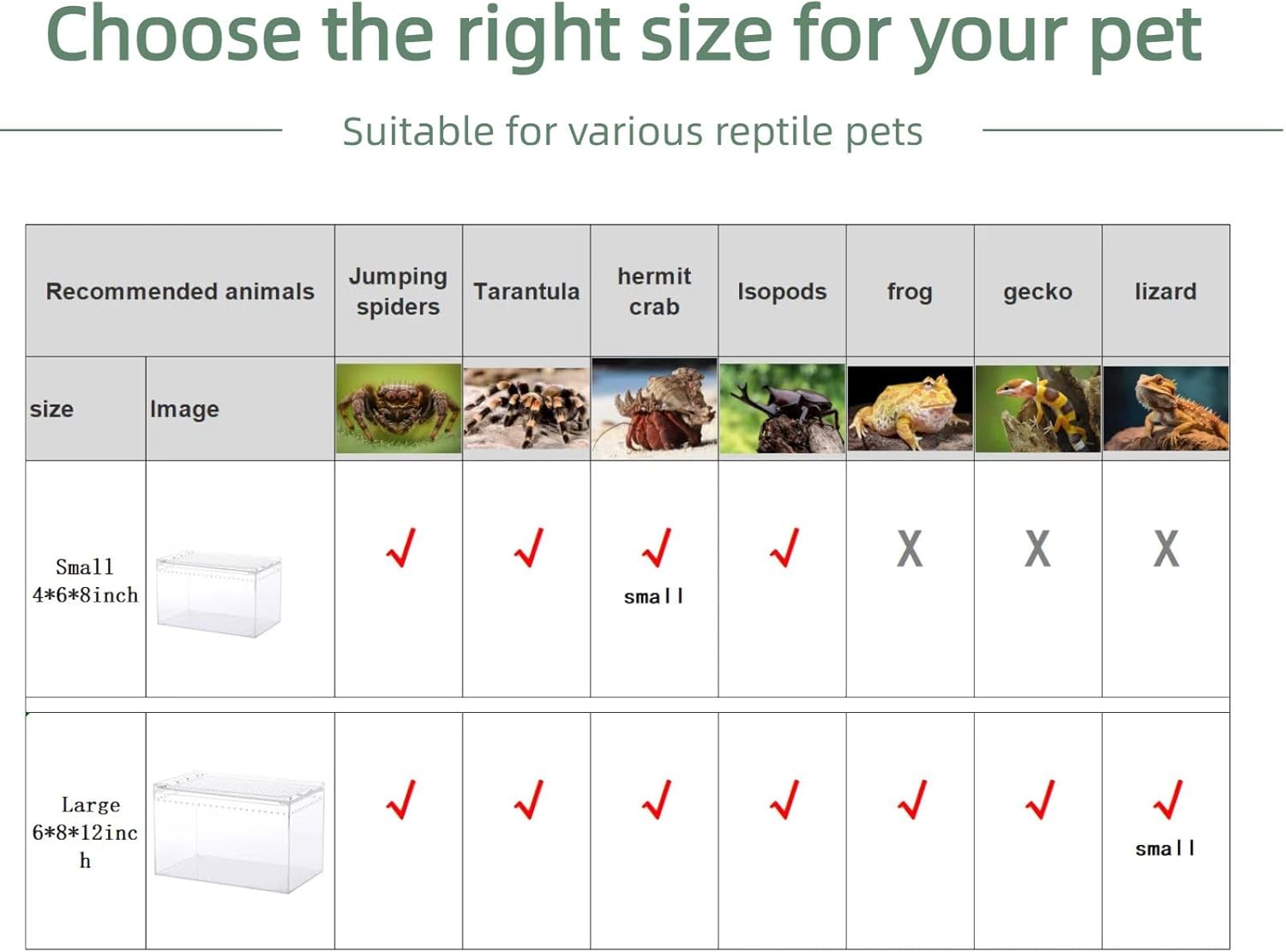 PC Reptile Terrarium, Hermit Crab Tank, Jumping Spider Enclosure, Tarantula Enclosure, Suitable for Gecko, Leopard Gecko, Tree Frog, Lizard, Praying Mantis Habitat Tank Starter (Small)
