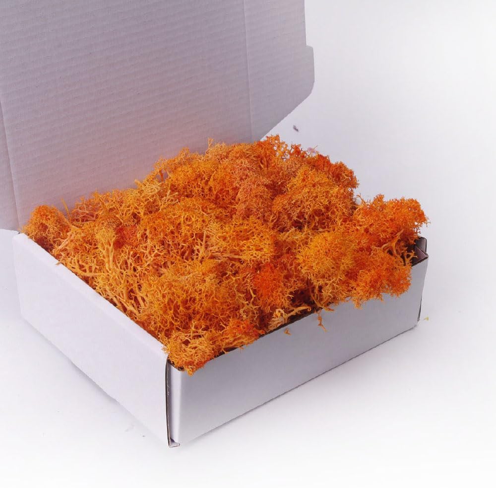 ACADOIT Preserved Moss-3.5 OZ Moss for Crafts Faux Moss Decor Natural Green Moss for Art Wall Florist Decor(Orange 3.5 OZ)